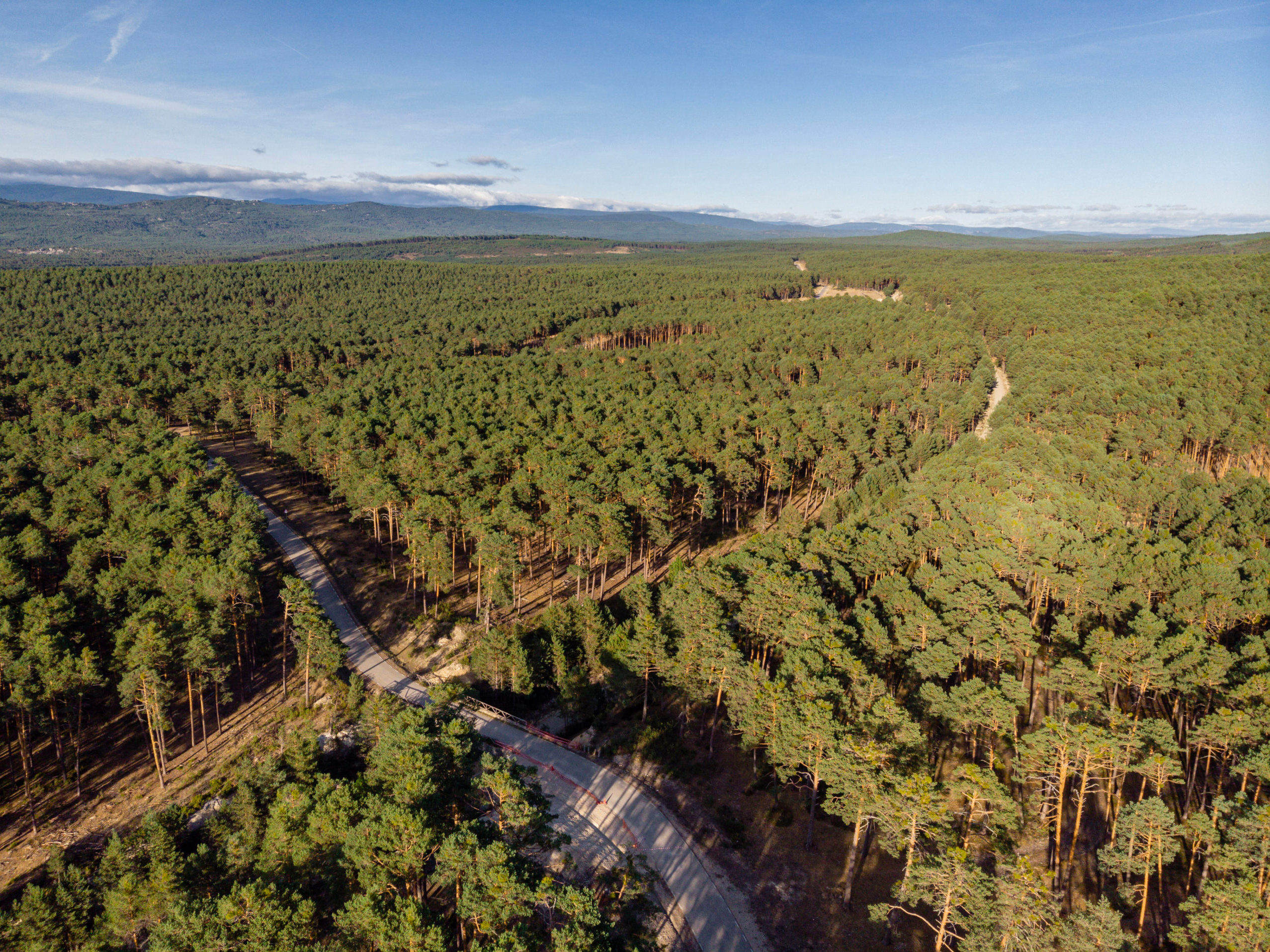 Co-signature de la PPL portant modification de la politique forestière pour répondre aux enjeux d’adaptation des forêts au changement climatique